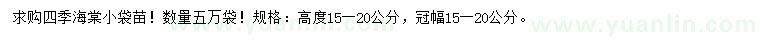 求購高15-20公分四季海棠
