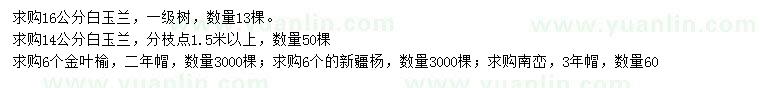 求購白玉蘭、金葉榆、新疆楊等