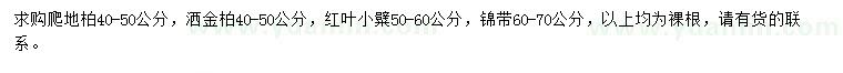 求購爬地柏、灑金柏、紅葉小糪等