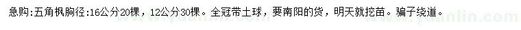 求購胸徑12、16公分五角楓