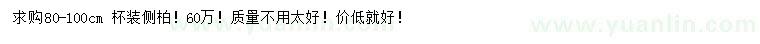 求購80-100公分側柏