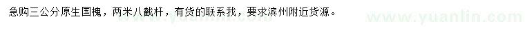 求購(gòu)3公分原生國(guó)槐