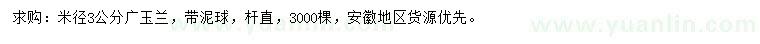 求購米徑3公分廣玉蘭