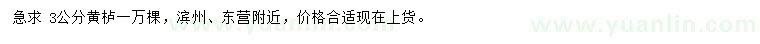 求購3公分黃櫨