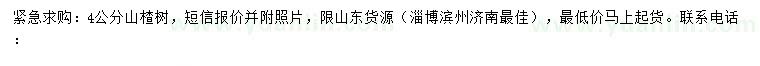 求購(gòu)4公分山楂樹(shù)
