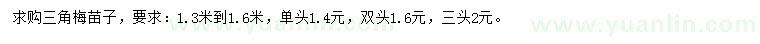 求購(gòu)1.3-1.6米三角梅