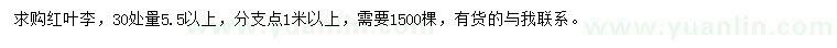 求購(gòu)30量5.5公分以上紅葉李