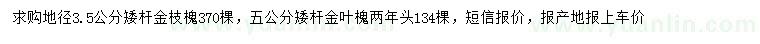 求購地徑3.5公分矮桿金枝槐、5公分矮桿金葉槐