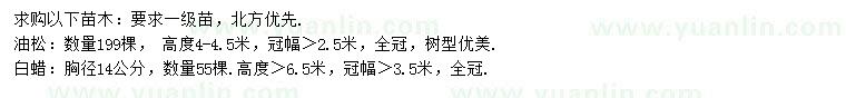 求購高4-4.5米油松、胸徑14公分白蠟