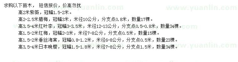 求購(gòu)紫薇、臘梅、紅葉李等