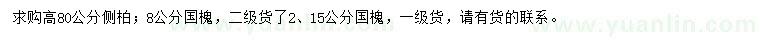 求購高80公分側(cè)柏、8、12、15公分國槐