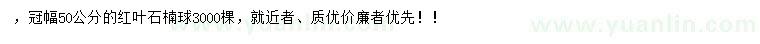 求購高60公分紅葉石楠球
