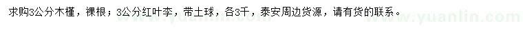 求購3公分木槿、紅葉李