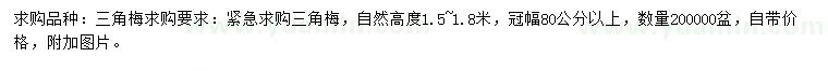 求購高1.5-1.8米三角梅