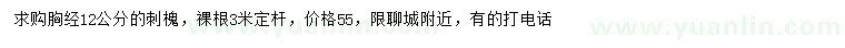 求購胸徑12公分刺槐