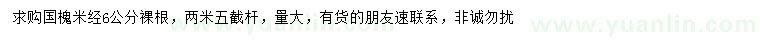 求購(gòu)米徑6公分國(guó)槐