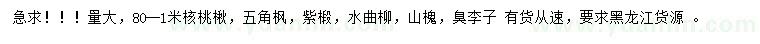 求購核桃楸、五角楓、紫椴等