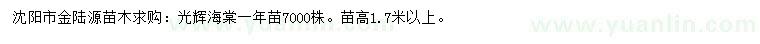 求購高1.7米以上光輝海棠