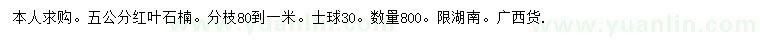求購5公分紅葉石楠