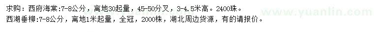 求購7-8公分西府海棠、西湖垂柳