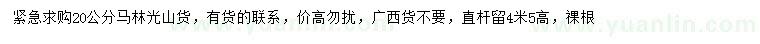 求購20公分馬靈光