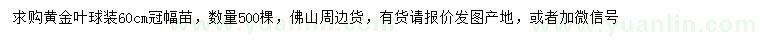 求購60公分黃金葉球