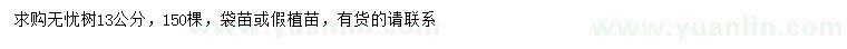 求購13公分無憂樹