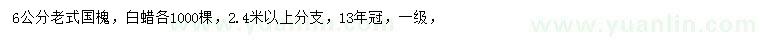 求購6公分老式國槐、白蠟