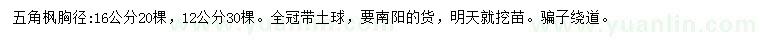 求購12、16公分五角楓
