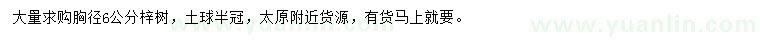 求購胸徑6公分梓樹