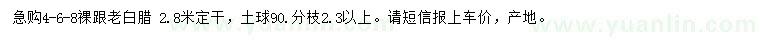 求購4-8公分老白臘