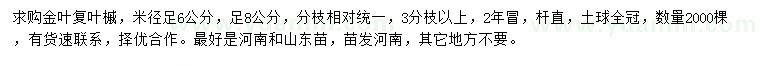 求購(gòu)米徑6、8公分金葉復(fù)葉槭