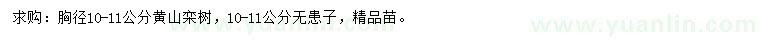 求購胸徑10-11公分黃山欒樹、無患子