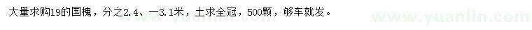 求購19公分國槐