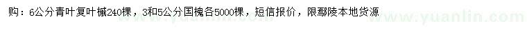 求購6公分青葉復(fù)葉槭、3、5公分國槐