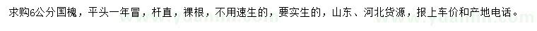 求購6公分國槐