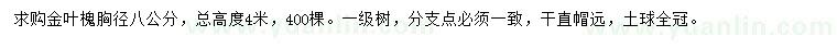 求購胸徑8公分金葉槐