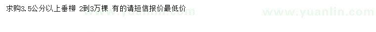 求購3.5公分以上垂柳