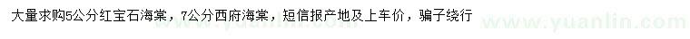 求購(gòu)5公分紅寶石海棠、7公分西府海棠