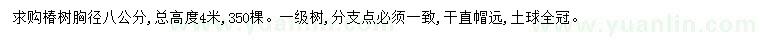 求購胸徑8公分椿樹