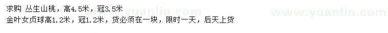 求購高4.5米叢生山桃、1.2米金葉女貞