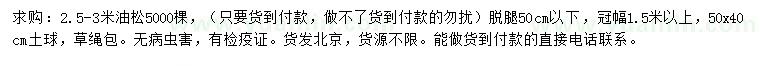求購2.5-3米油松