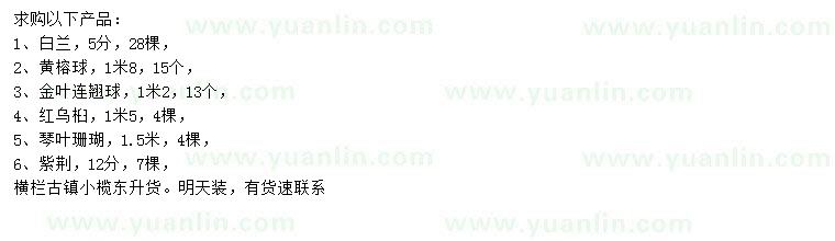 求購白蘭、黃榕球、金葉連翹球等