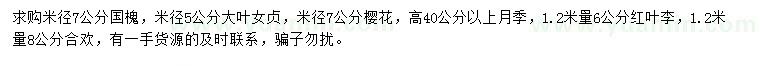 求購國槐、大葉女貞、櫻花等