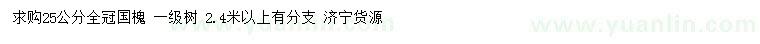 求購25公分國槐