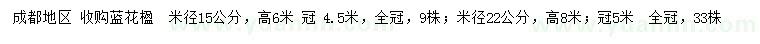 求購米徑15、22公分藍(lán)花楹
