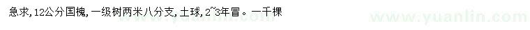 求購12公分國槐
