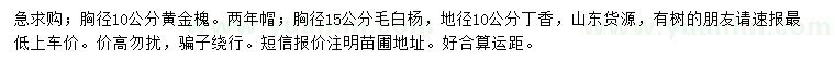 求購黃金槐、毛白楊、丁香
