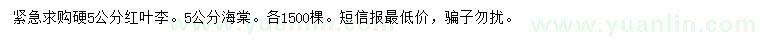 求購5公分紅葉李、海棠