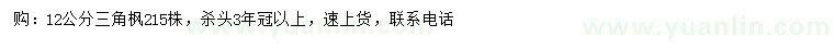 求購12公分三角楓